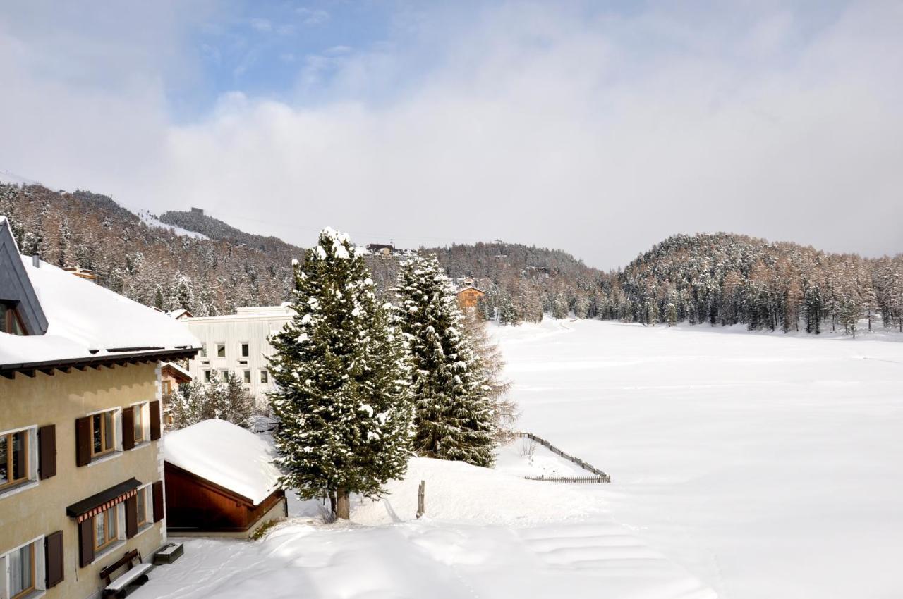 Cosy Apartment Facing Piz Rosatsch Сейнт Мориц Екстериор снимка